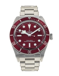 Tudor Black Bay 58 M7939A1A0RU-0002